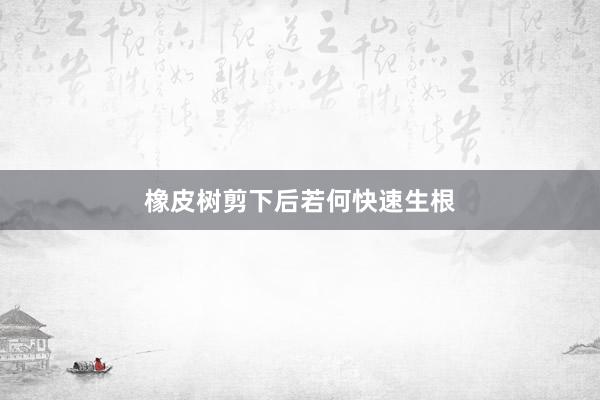 橡皮树剪下后若何快速生根